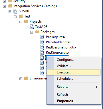 Execute page on a local SSIS catalog